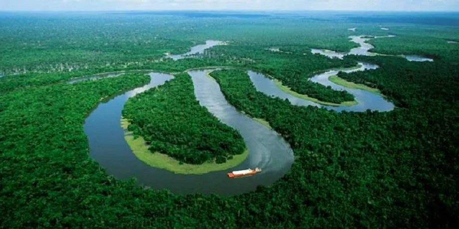 cruceros en la amazonia